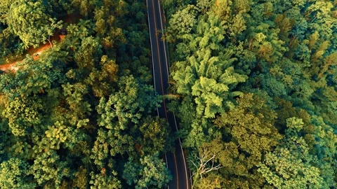 View of the highway in the forest between the mountains. Stock Footage 295027233