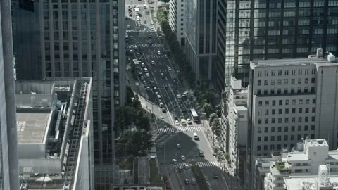 View of the Highway Intersection in the Skyscraper Area from High Angle | Tokyo Stock Footage 319748856