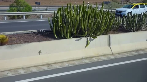 A view of a highway lined with cactus and plants in Gran Canaria in slow mo.. Stock Footage 286112696