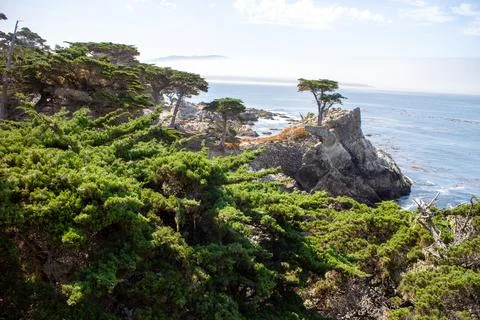 View of Highway One, California. Pacific Coast Highway Stock Photos