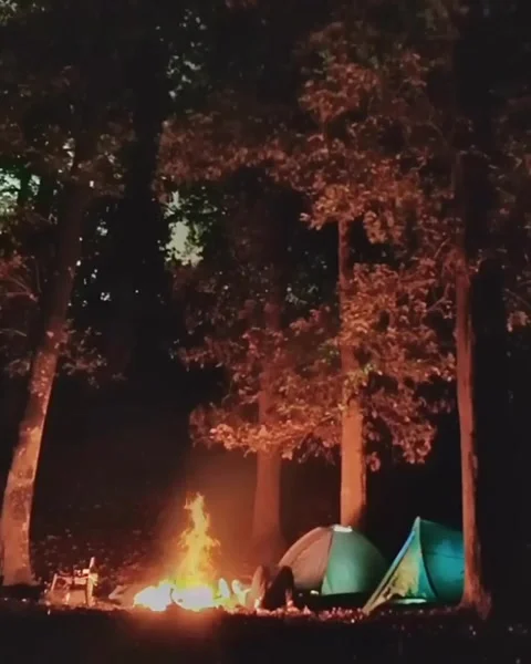 View of a hiker in a forest lying in front of a campfire Stock Footage 147058164