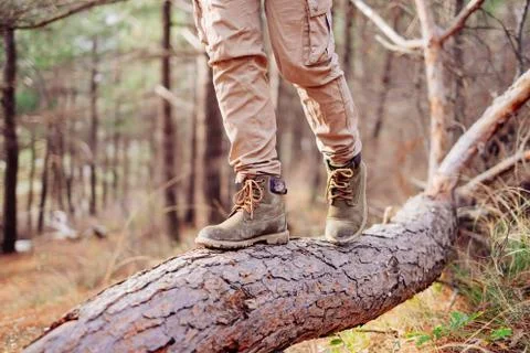 View of hiker legs on tree trunk Stock Photos