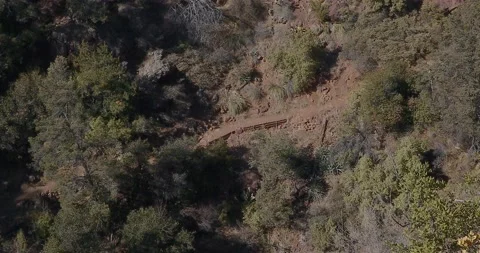 View of a Hiking Trail Stock Footage 145916766