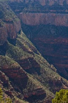 View of a hiking trail going down the wall of the Grand Canyon, Arizona. Stock Photos