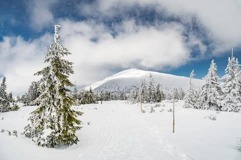 View to a hiking trail which leads to a summit of Snezka mountain, the highest Stock Photos