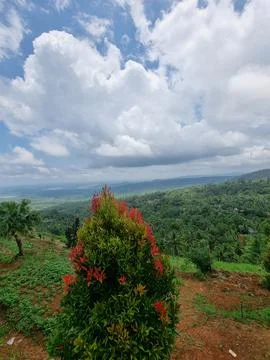 View from the hill 14 Foto stock