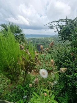 View from the hill 18 Foto stock