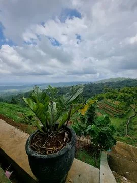 View from the hill 19 Foto stock