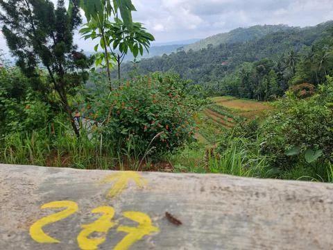 View from the hill 20 Foto stock