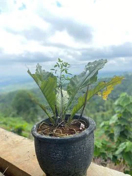 View from the hill 3 Foto stock