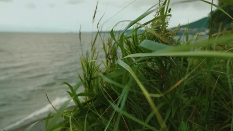 View from hill across wind-blown grass to blurred view of sea bay and buildings 動画素材 318671773