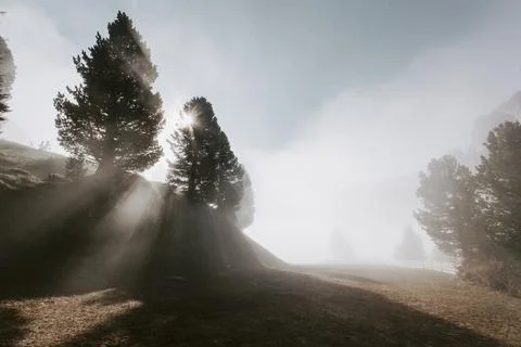 View of a hill and trees Stock Photos