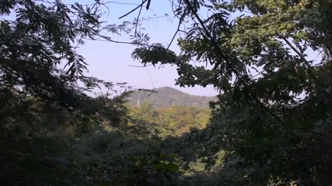 A view of a hill ,covered by beautiful trees. Stock Footage 131704547
