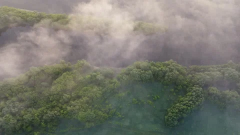 View of the hill Stock Footage 161579948