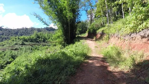 View of the hill forest in highlands of Borneo, camera slide to forest trail Stock Footage 143969748