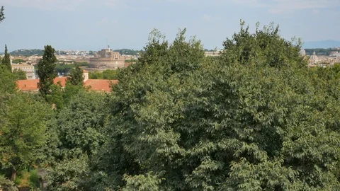 View from the hill on the green trees and Rome sights Stock Footage 123579713