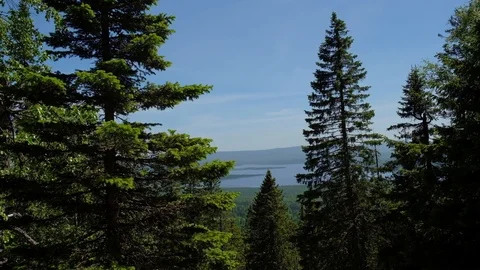 View from the hill of the mountain to the lake through the coniferous trees. Stock Footage 114165520