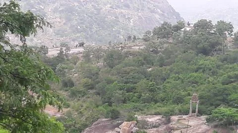 View from a hill 스톡 사진