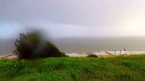 View from the hill on a rainy day on the waves, green vegetation, rain, kites Stock Footage 78158784