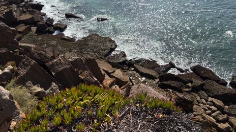 View from a hill to a rocky shore with waves Video stock 252272071