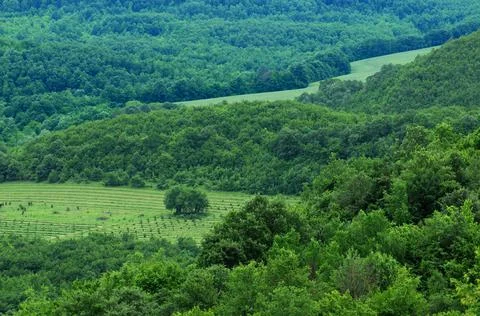 View from the hill in summer Stock Photos