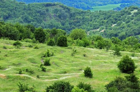 View from the hill in summertime Stock Photos