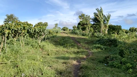 View of the hill with the surrounding nature. Stock-Footage 262064224