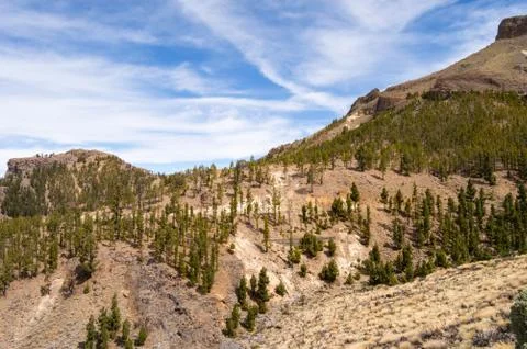 View of a hill in Teide Park Stock Photos