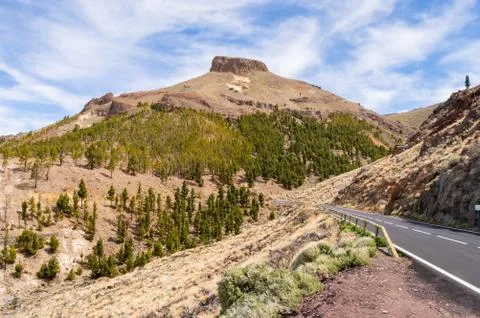 View of a hill in Teide Park Foto stock
