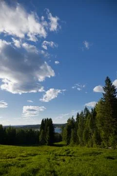 View from a hill top Stock Photos