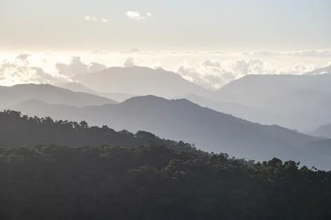 View of hills with cloud forest, in the evening light, Dramatic clouds between Stockfoto's
