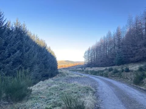 View from Hills over Glen Devon valley on sunny morning, Scotland Stock Photos