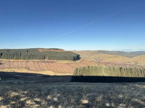 View from Hills over Glen Devon valley on sunny morning, Scotland Stock Photos