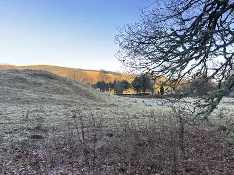 View from Hills over Glen Devon valley on sunny morning, Scotland Stock Photos