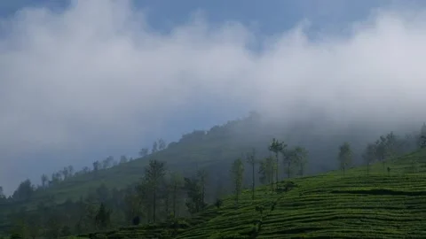 View of a hillside covered in fog Stock Footage 280376504