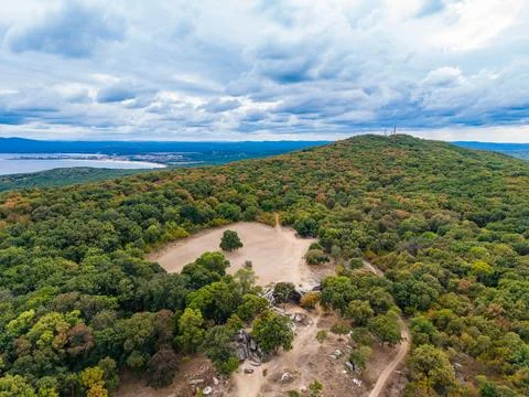 View of a hillside covered in trees with scattered rocks and a distant city.. Stock Photos