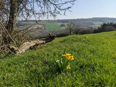 View from a hilltop Stock Photos