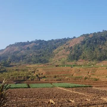 View of the hilly area in West Java. Green hills in summer with various kinds Stock-Fotos