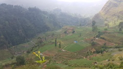 View of the hilly area in West Java. Fotos Stock