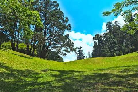 View of a hilly garden Foto stock