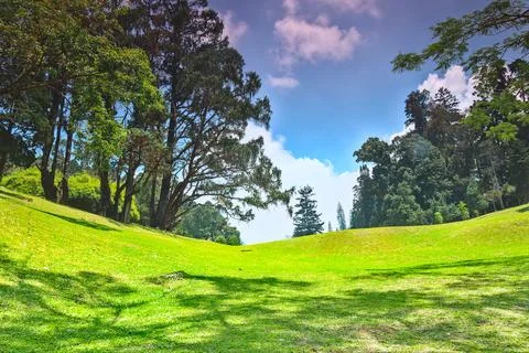 View of a hilly garden Stock Photos