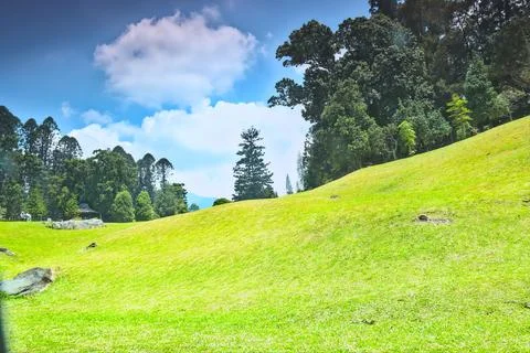 View of a hilly garden Foto stock