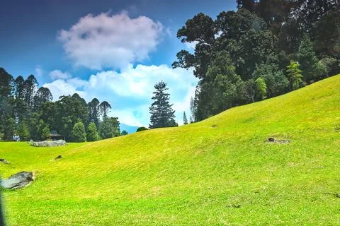 View of a hilly garden Stock Photos