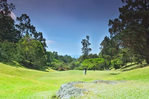 View of a hilly garden Stock Photos