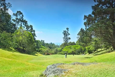 View of a hilly garden Foto stock
