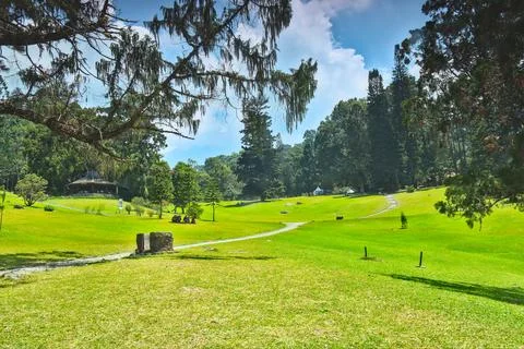 View of a hilly garden Stock Photos
