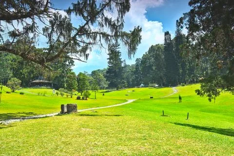 View of a hilly garden Stock Photos