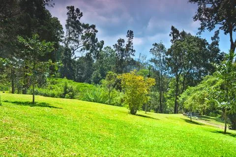 View of a hilly garden Stock Photos