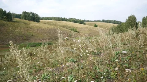View of hilly terrain. Видео 80946549