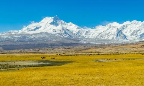 View of the himalayan mountains. tibet Stock Photos